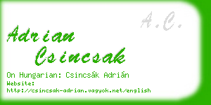 adrian csincsak business card