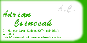 adrian csincsak business card